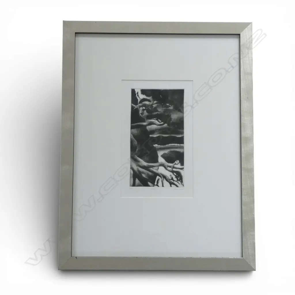 VIVIAN WARD, VECTOR, PRINT Ed. 5/20, 215x130mm Image 1++