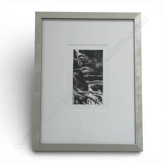 VIVIAN WARD, VECTOR, PRINT Ed. 5/20, 215x130mm