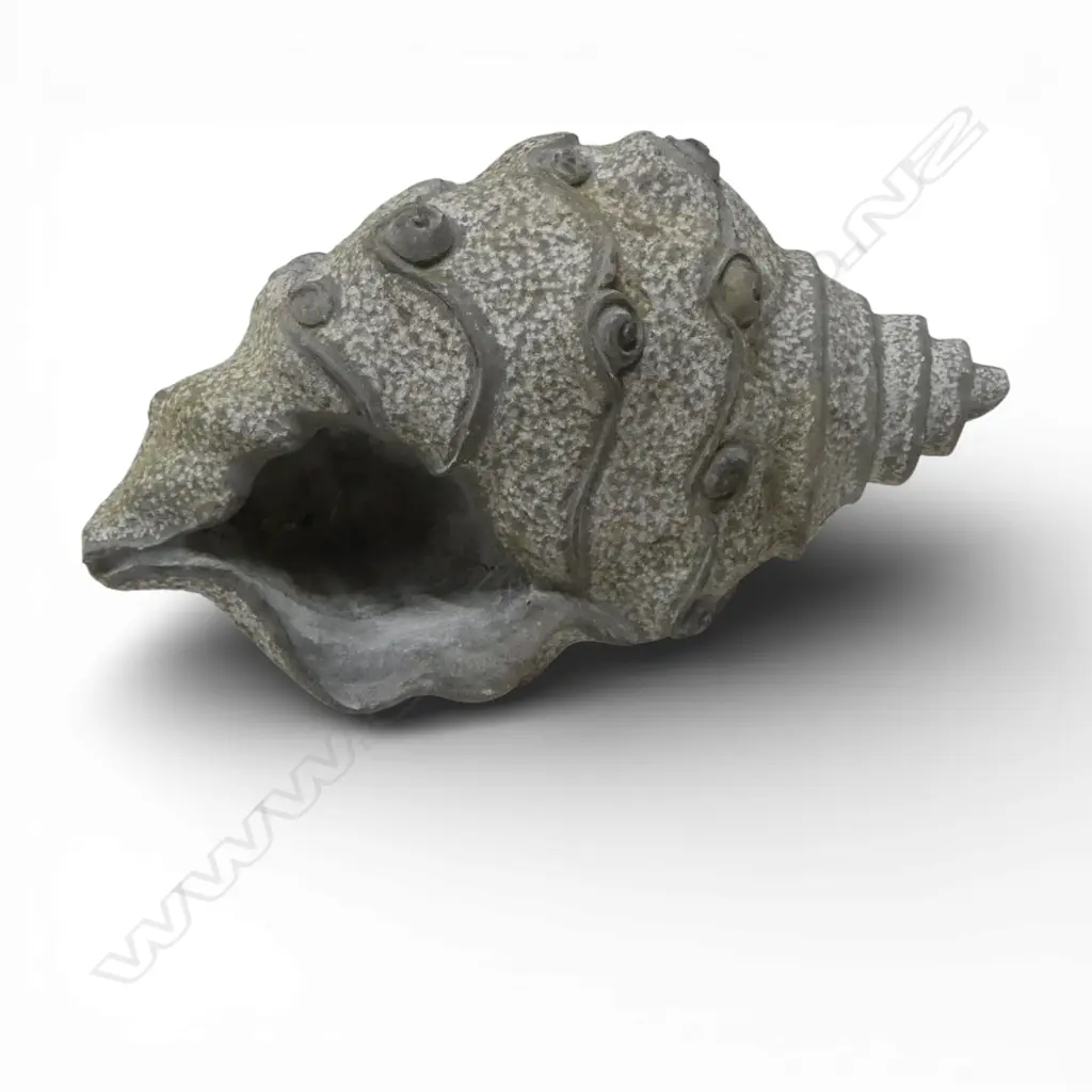 GREY CONCRETE CONCH SHELL, W.200mm, H.400mm Image 1++