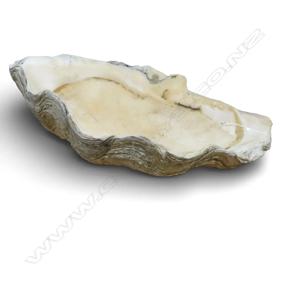 CLAM SHELL W.390mm Image 1++