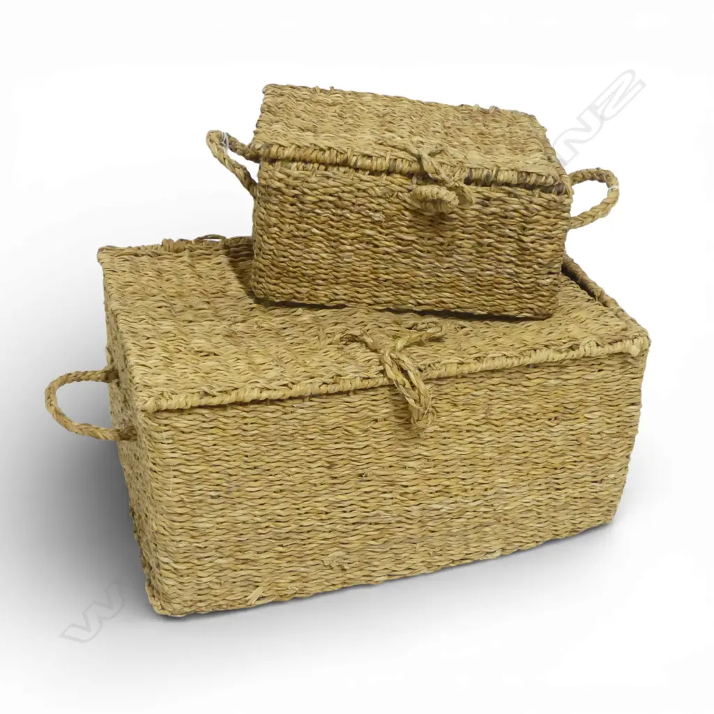 2 WICKER BASKETS W.490/310mm Image 1++