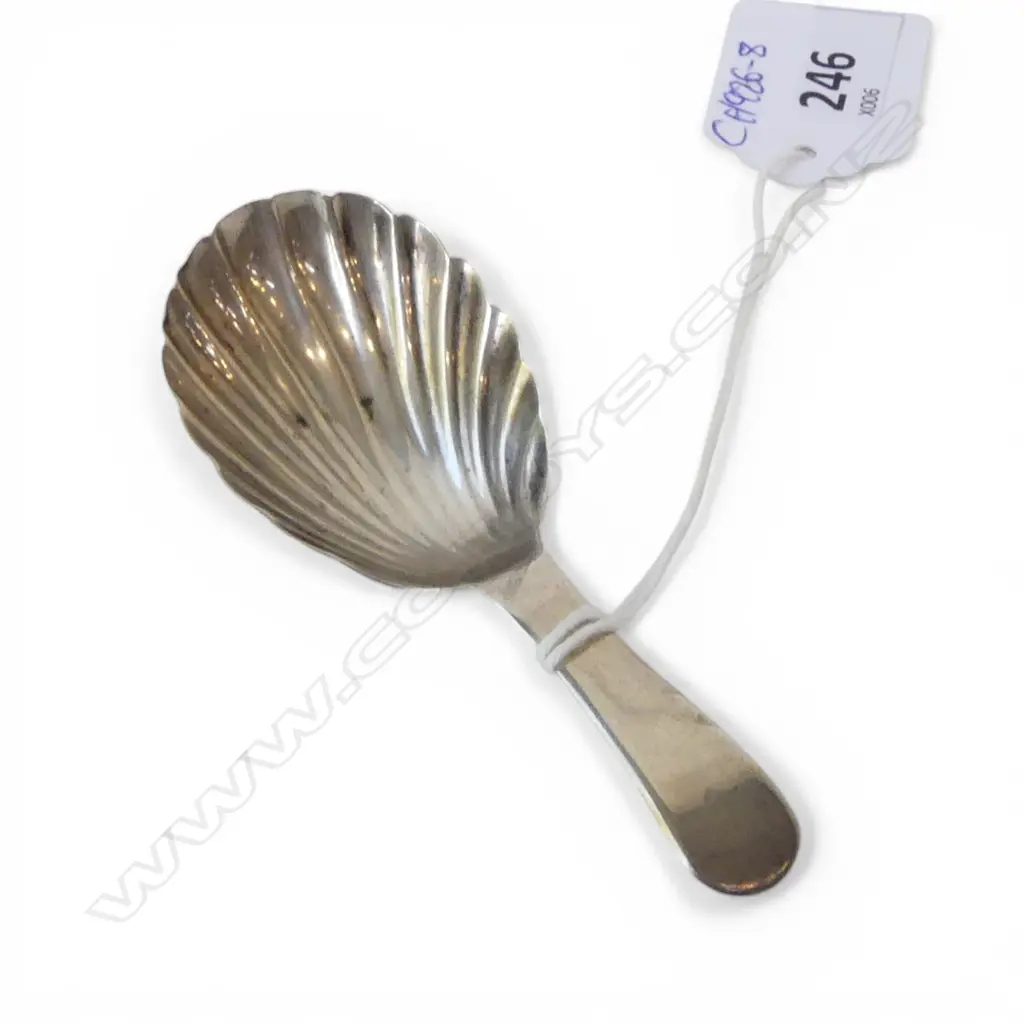GEORGE III STG SILVER TEA CADDY SPOON by ELIZABETH MORELY, LONDON 1809, 7.96gms scallop shell embossed bowl Image 1++