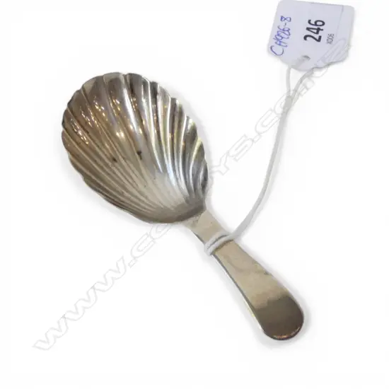GEORGE III STG SILVER TEA CADDY SPOON by ELIZABETH MORELY, LONDON 1809, 7.96gms scallop shell embossed bowl