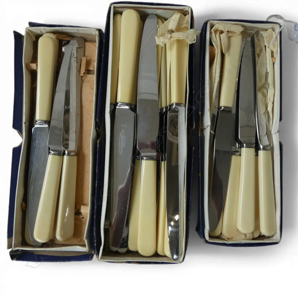 3 BOXES IVORINE 'BONE' HANDLED KNIVES Image 1++