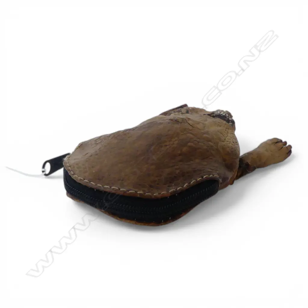 TAXIDERMY TOAD LEATHER PURSE L.115mm Image 1++