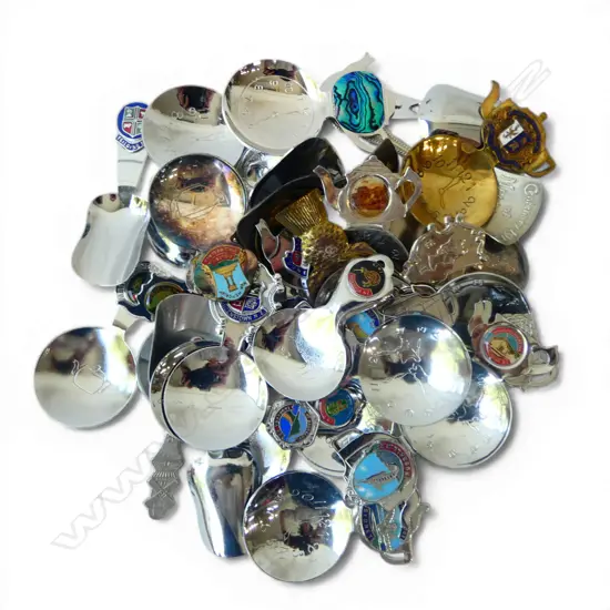 COLLECTION OF ASST. NEW ZEALAND TEA CADDY SOUVENIR SPOONS