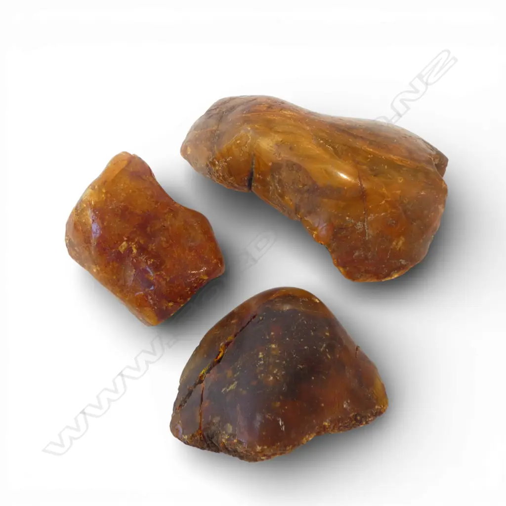 3 POLISHED KAURI GUM PIECES W.165mm Image 1++