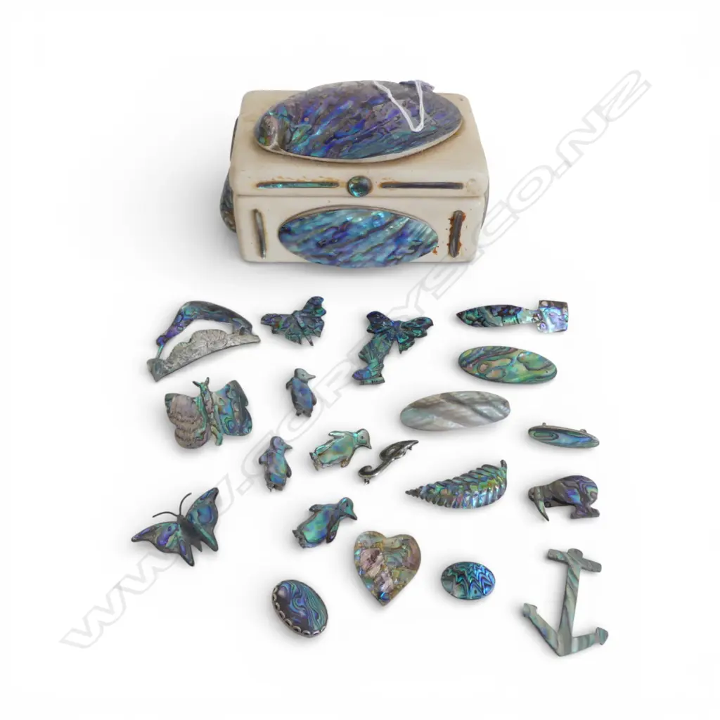 ASST. PAUA JEWELLERY + BOX W.175mm Image 1++