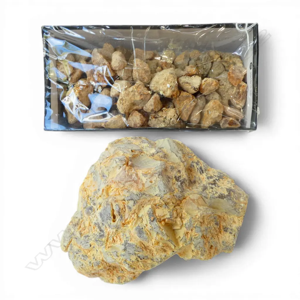 SHOE BOX OF UNPOLISHED KAURI GUM NUGGETS & 1 LARGE KAURI GUM NUGGET Image 1++