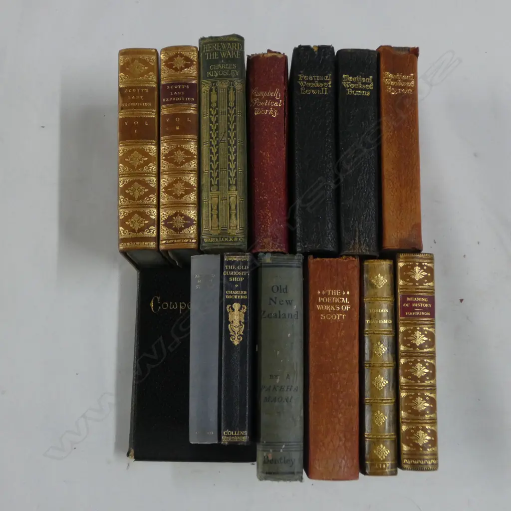 COLLECTION OLD BOOKS: decorative leather bindings + 'Old New Zealand' + 'Scott's Last Expedition' Vols 1 & 2 etc Image 1++