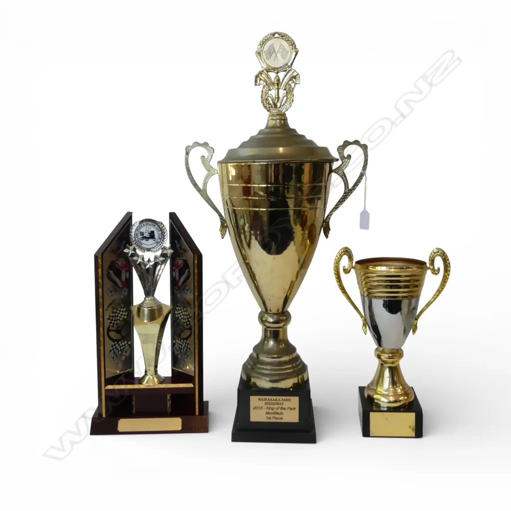 3X NZ STOCKCAR TROPHIES TALLEST H750mm Image 1++