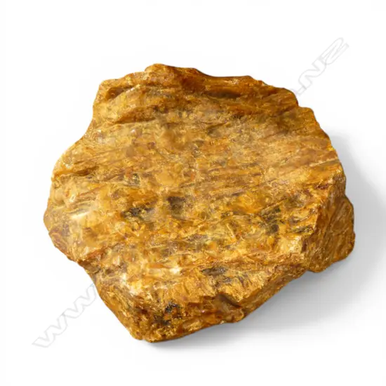 LG KAURI GUM PIECE W.250mm 3.3KG