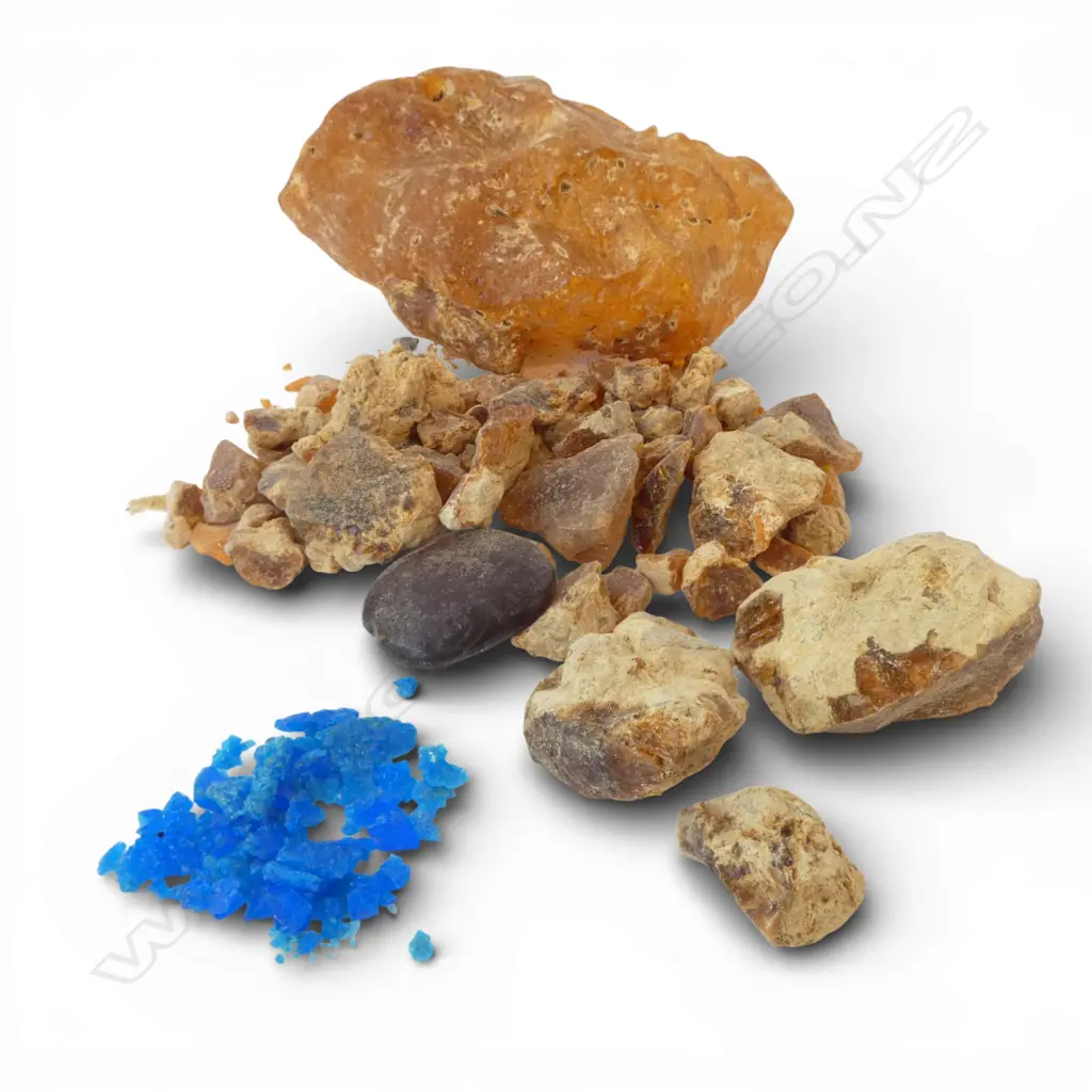 ASST. KAURI GUM PIECES LARGEST W.170mm Image 1++