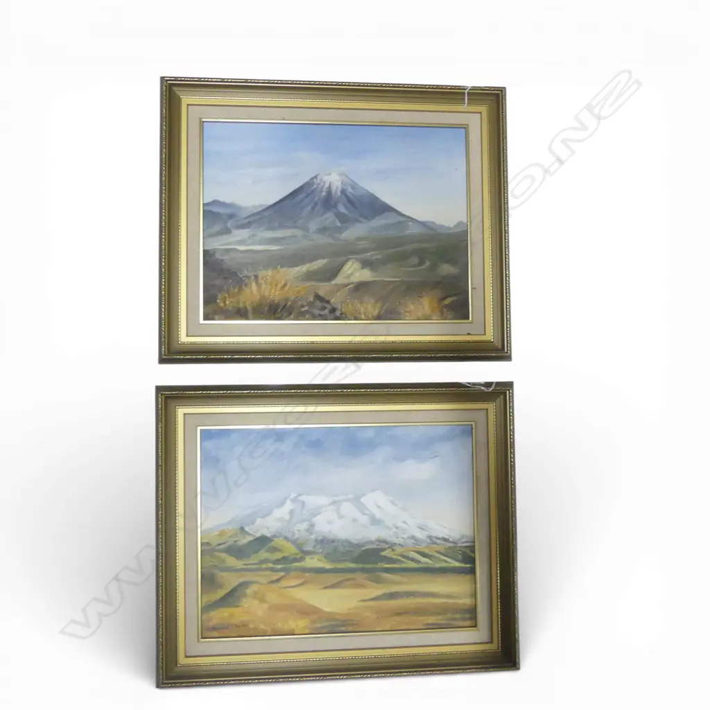 PR OILS ON BOARD RUAPEHU & MT NGAURUHOE H320 W400MM Image 1++