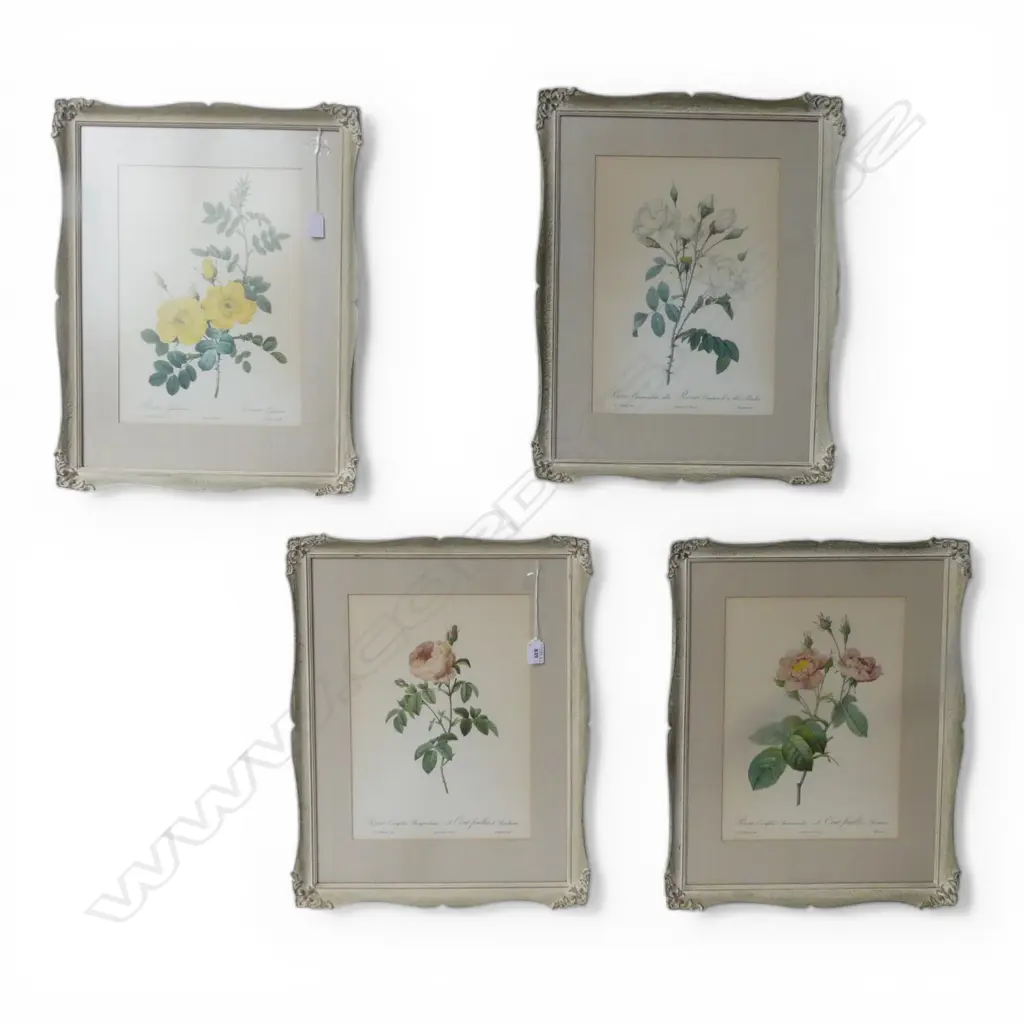 FOUR FRAMED BOTANICAL PRINTS 340x240mm Image 1++