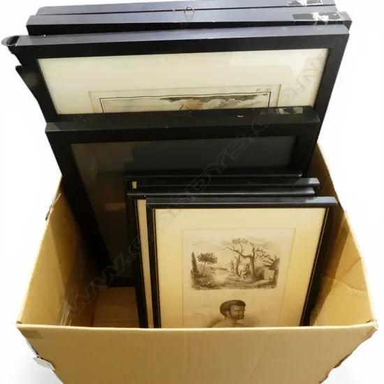 ASST. PRINTS INCL. 4 HISTORIE NATURELLE 470x340mm, NEW CALEDONIA ETC