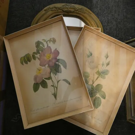 GILT FRAMED WALL MIRROR L570 & 3 FOXED BOTANICAL PRINTS