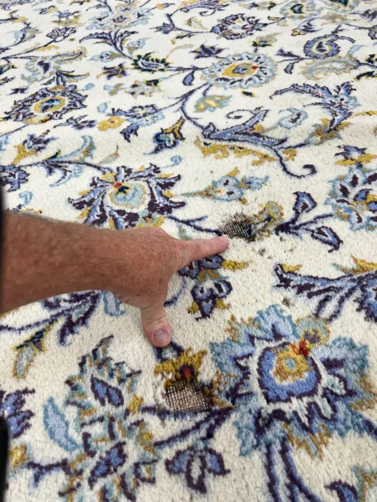 Very large Iranian hand knotted Kashan carpet curvilinear designs pale tones. 4100 x 3000mm. Some fading & insect damage Image 1++