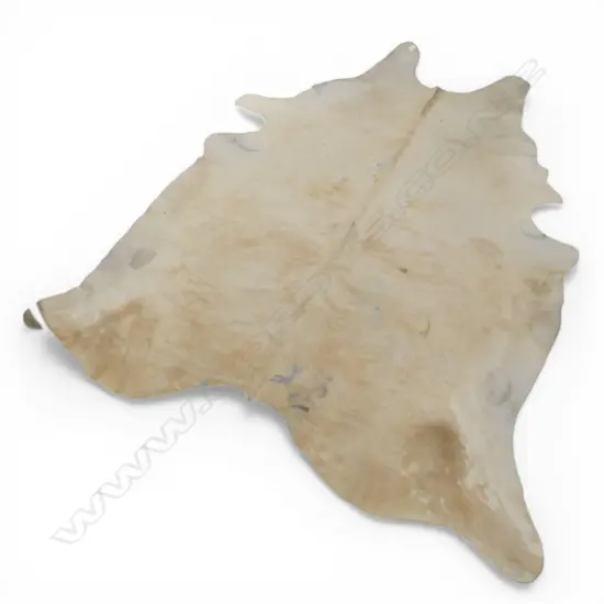 COW HIDE RUG L.2450mm