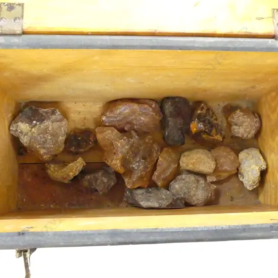 ASST. KAURI GUM PIECES IN WOODEN CRATE W.535mm