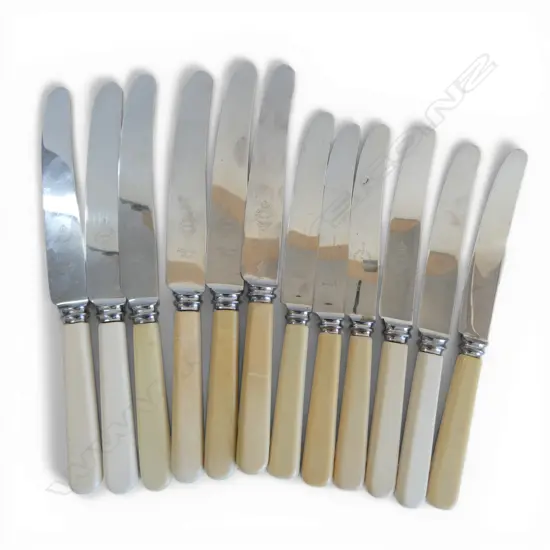 12 VINTAGE CASEIN HANDLED TABLE KNIVES