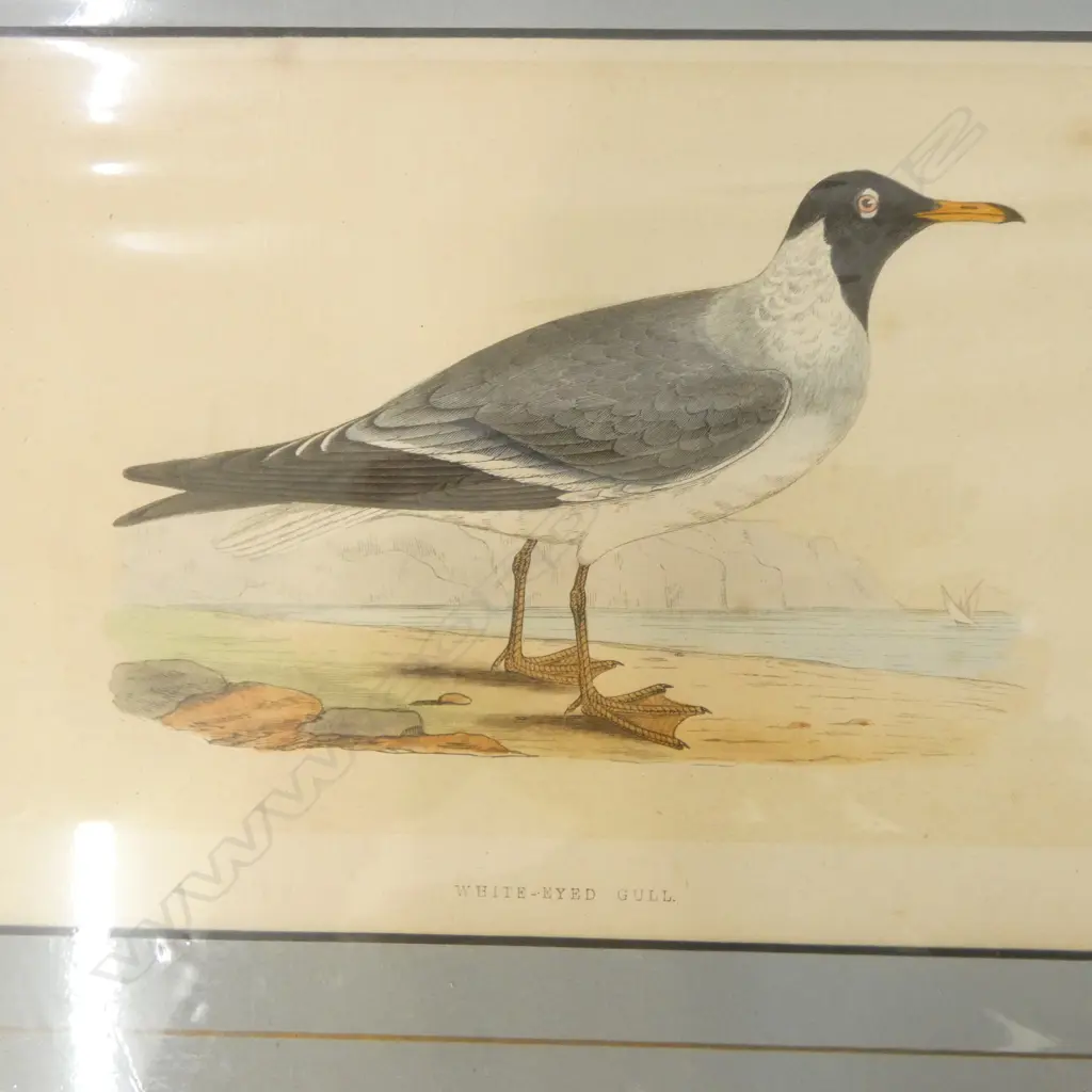 HODGES PRINT HAS TORN L.H CORNER Image 1++