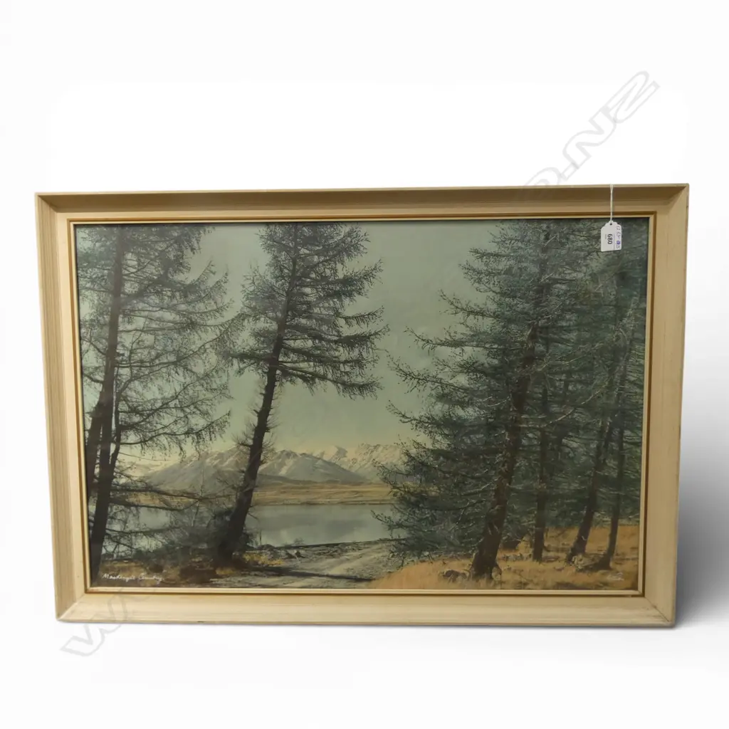 WHITES AVIATION MACKENZIE COUNTRY, SIGNED & TITLED 500x750mm ex John Perry estate Image 1++