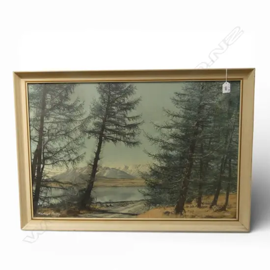 WHITES AVIATION MACKENZIE COUNTRY, SIGNED & TITLED 500x750mm ex John Perry estate