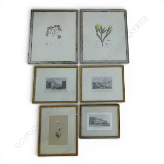 6 ARTWORKS; PR BOTANICAL PRINTS, TULIP WC 205x135mm, 3 LONDON ETCHINGS