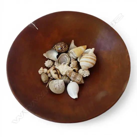 LG WOODEN BOWL 490mm dia + ASST. SHELLS