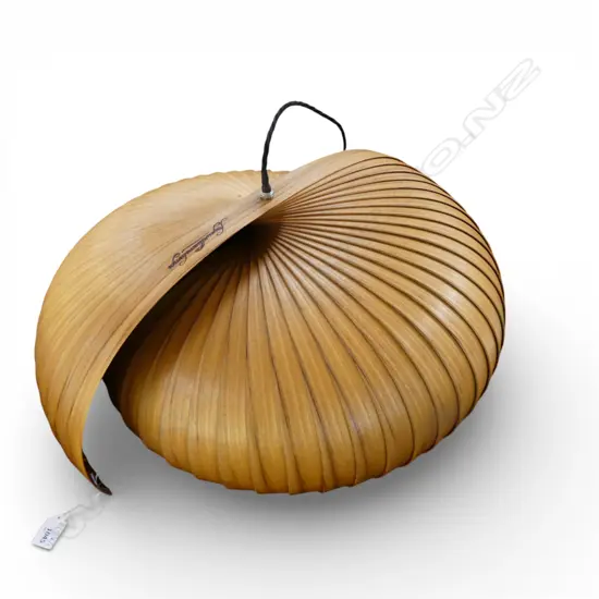 BENT PLY LIGHT FITTING BY FAYE WILLIAMS LAMPS 600mm dia