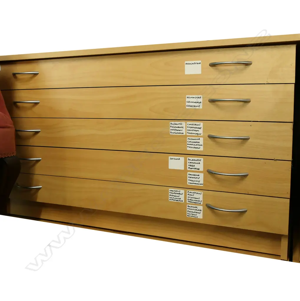5 DRAWER PLAN CABINET 1000x740x570mm Image 1++