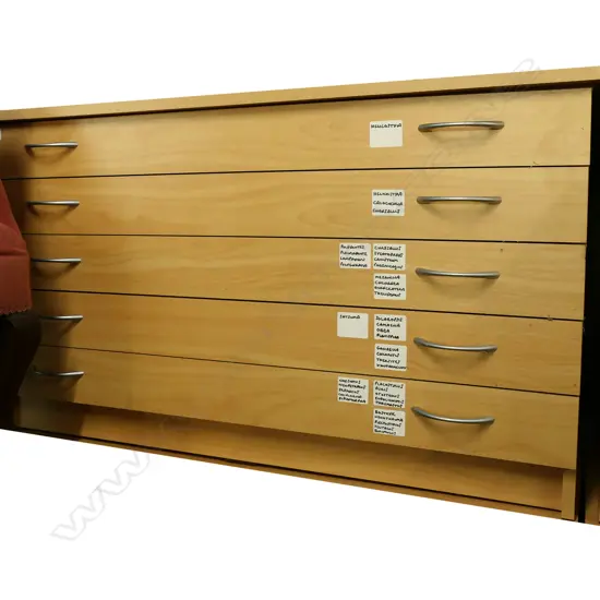 5 DRAWER PLAN CABINET 1000x740x570mm