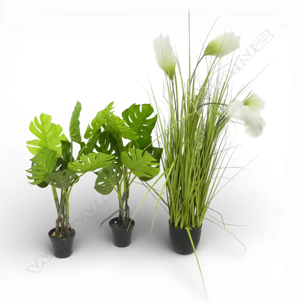 3 FAKE PLANTS; TOITOI H.1000mm, 2 MONSTERA H.700mm Image 1++