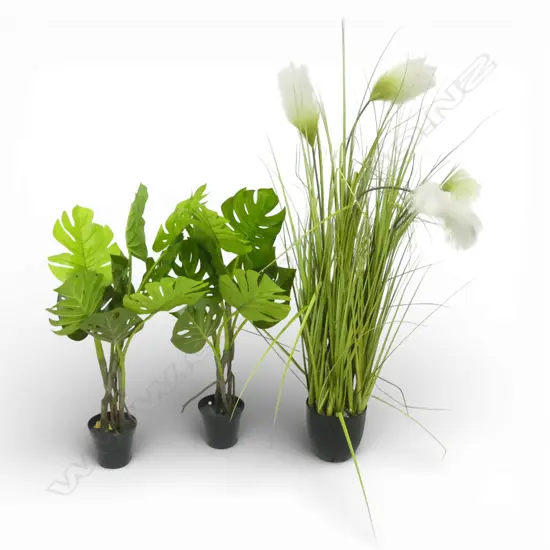 3 FAKE PLANTS; TOITOI H.1000mm, 2 MONSTERA H.700mm