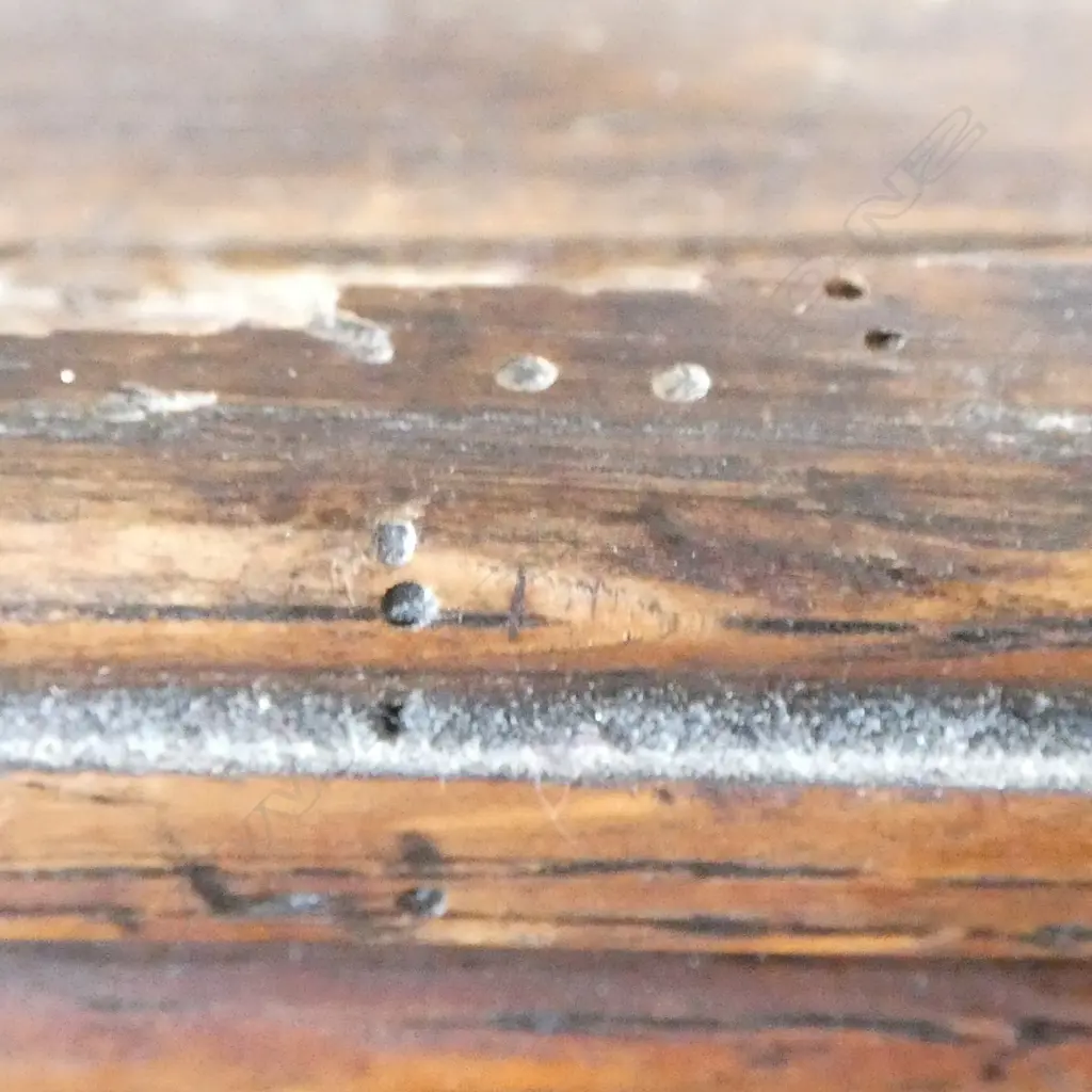 ANTIQUE OAK CORNER CUPBOARD 500x500x775mm Image 1++