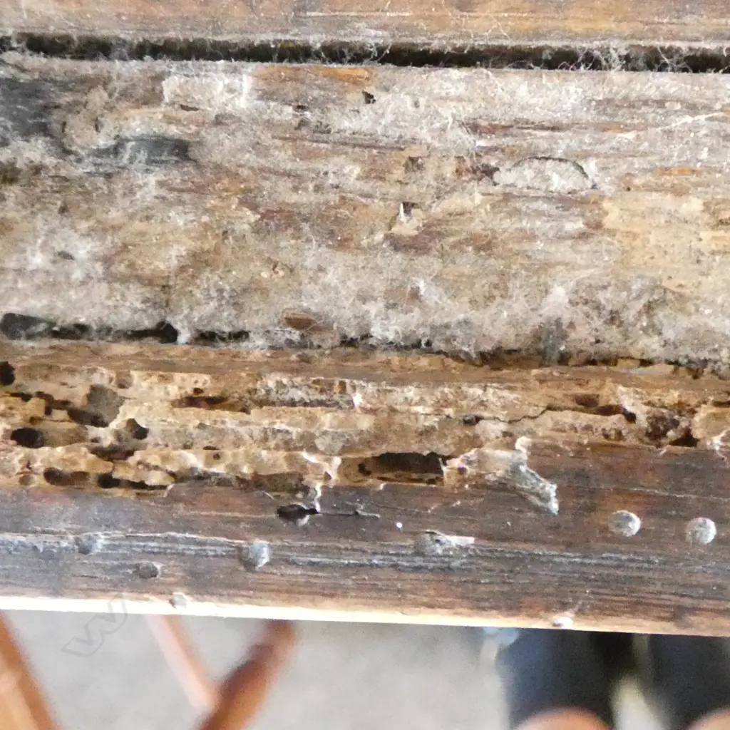 ANTIQUE OAK CORNER CUPBOARD 500x500x775mm Image 1++