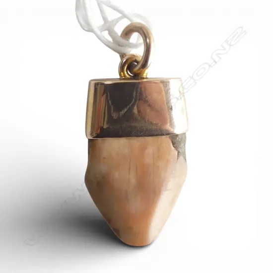 9ct PETRIFIED TOOTH FOB PENDANT, 5.70gm