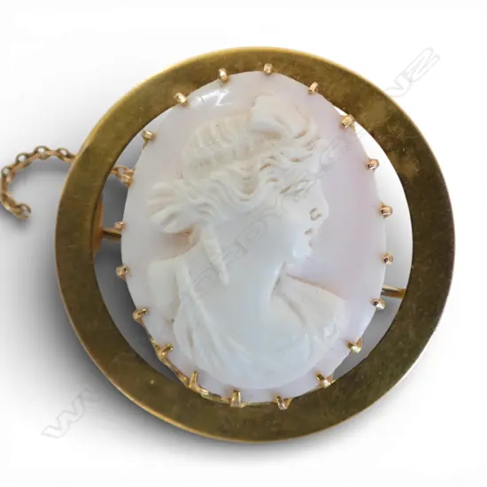 **RTV** 9CT CAMEO BROOCH, 5.5gms