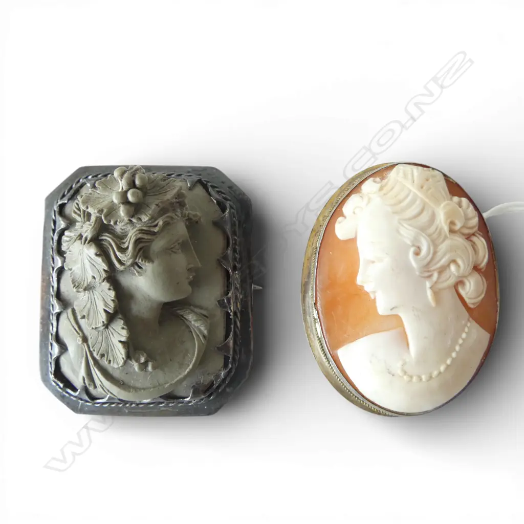 LAVA CAMEO BROOCH & SHELL CAMEO BROOCH IN 800 SILVER FRAME Small faults LAVA Brooch Image 1++