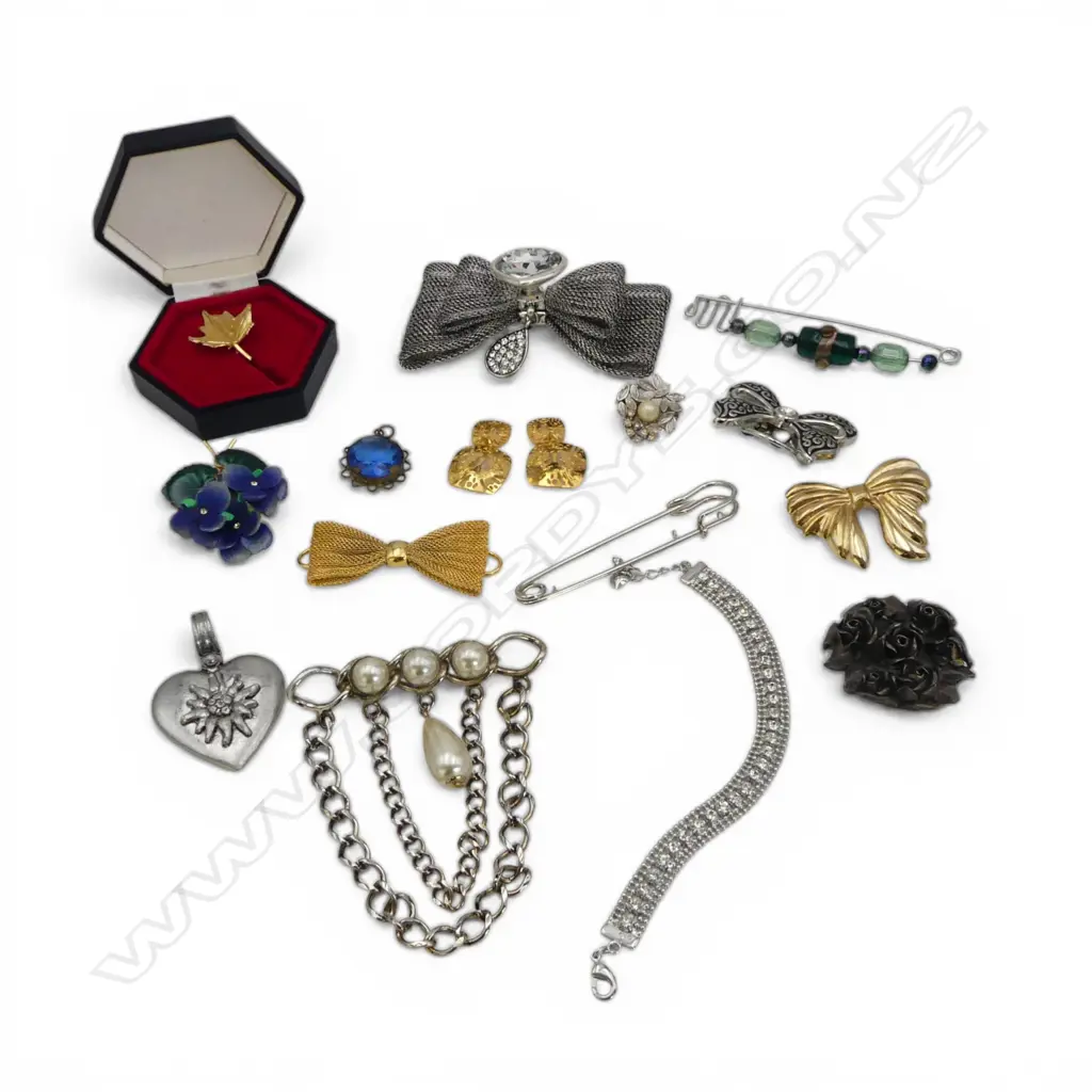 ASSTD COSTUME BROOCHES ETC Image 1++
