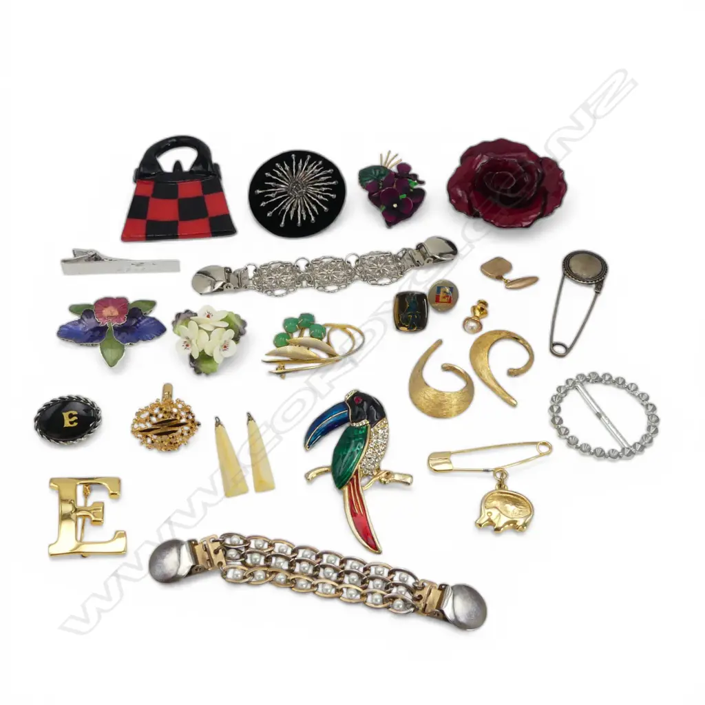 ASSTD COSTUME BROOCHES ETC Image 1++