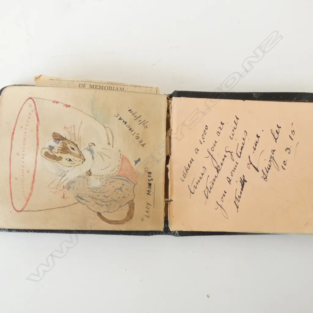 c1910 AUTOGRAPH ALBUM with paintings + illustrations etc Image 1++