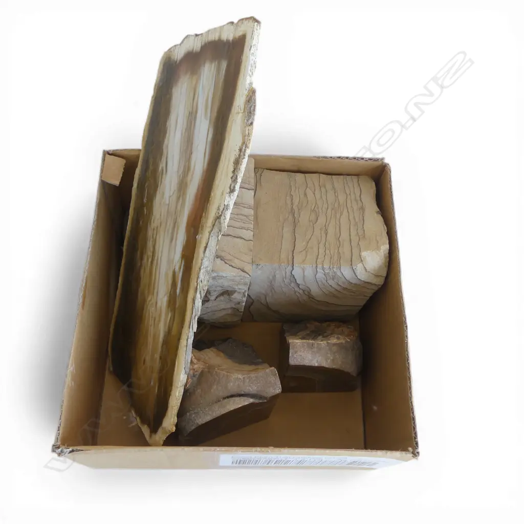 2 PRS OF POLISHED STONE BOOKENDS & POLISHED PETROFIED WOOD SLAB L360MM Image 1++