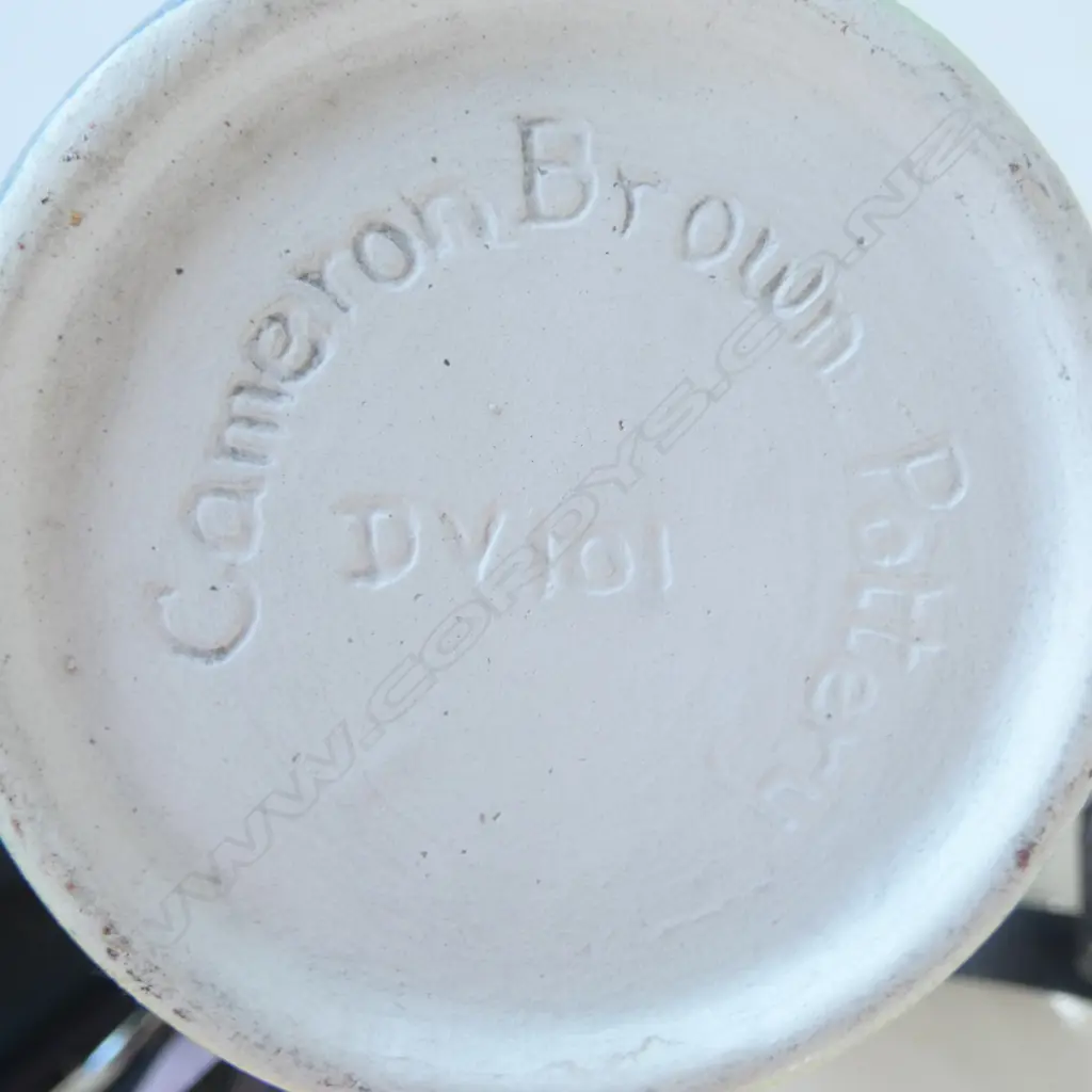 STUDIO POTTERY VASE BY CAMERON BROWN H250MM & ROSE WALLIS PLATTER DIA370MM Image 1++