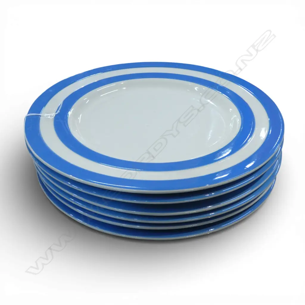 6 LG CORNISH WARE PLATES Dia.305mm Image 1++