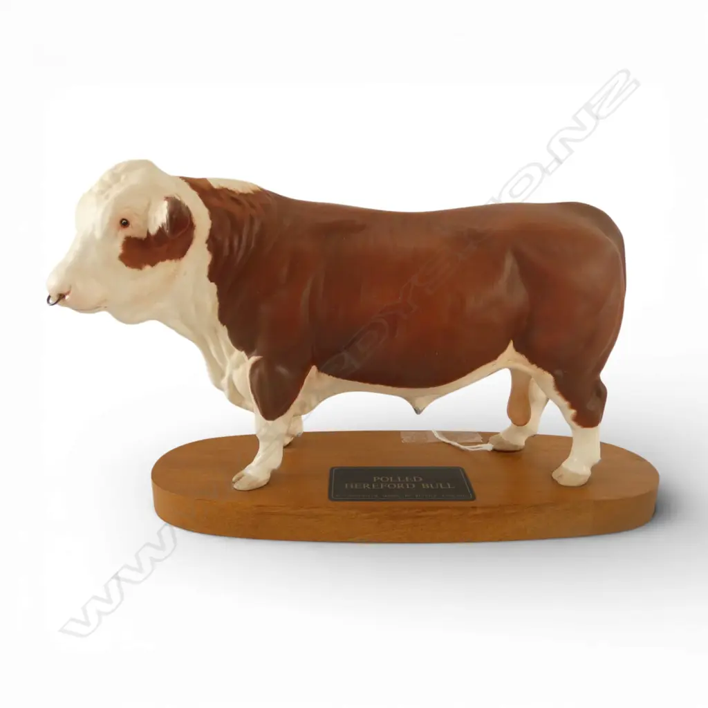 LARGE POLLED HEREFORD BULL BY BESWICK ON STAND . L.280mm Image 1++