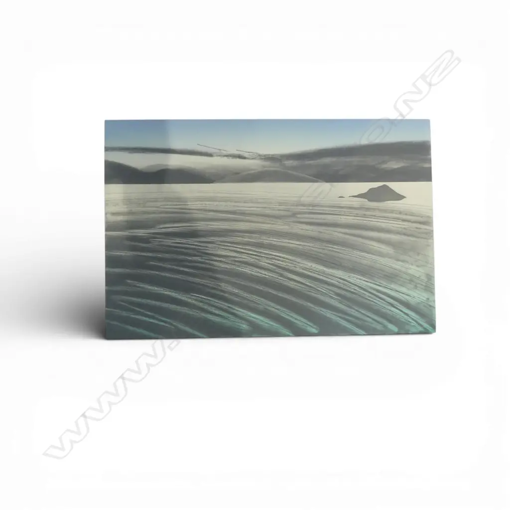 RODNEY FUMPSTON 'WELLINGTON HARBOUR' PRINT 17/50 335x500mm Image 1++