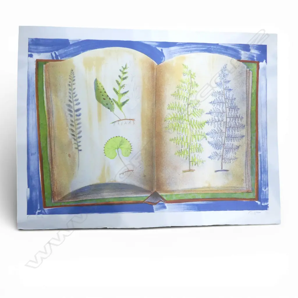 RODNEY FUMPSTON 'FERN BOOK' PRINT 23/35 525x740mm Image 1++