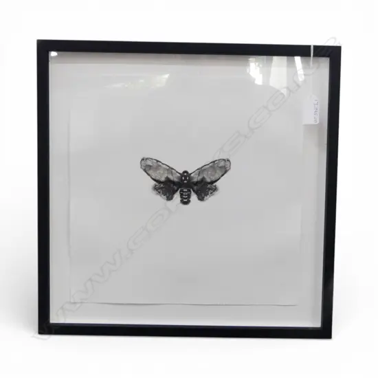 JOHN PUSATERI, MOTH, UNTITLED & UNSIGNED PRINT, 290x290mm